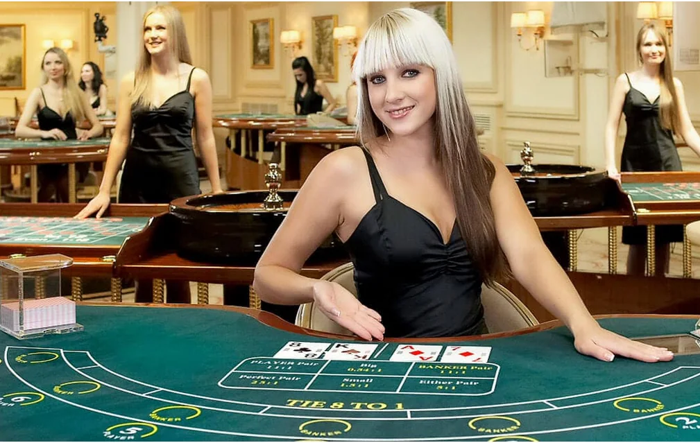 Suasana meja kasino live VM987 dengan dealer dan tampilan permainan